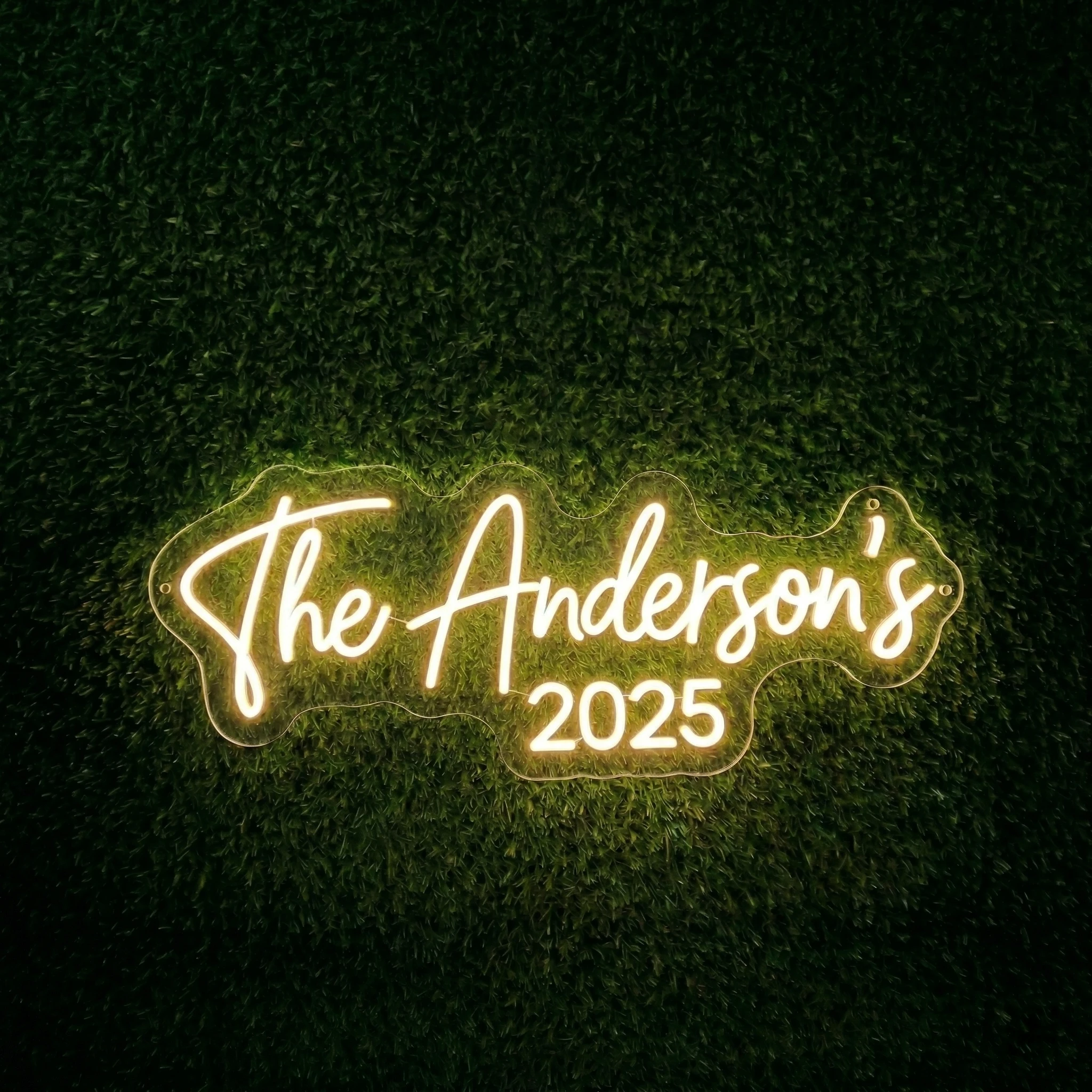 The Andersons 2025 wedding neon sign